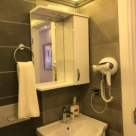 Zeytin Bir Arti Sifir Appartement Istanboel
